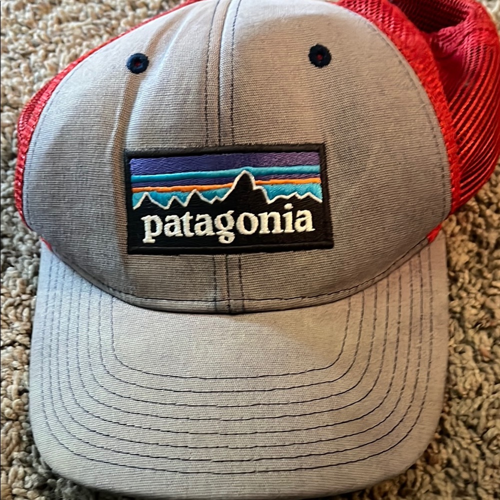 Patagonia Gray and Blue Logo Cap
